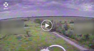 Знищено 2 танки, 3 ББМ, серед яких -Тигр, 3 БМП, бронетранспортер, 2 гаубиці та гармата МТ-12 Рапіра