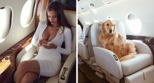 Обмани Инстаграм красиво: русская компания продает фотосессии в частном самолете (12 фото)
