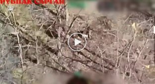 An occupier beats his comrade, and then dies from a strike by a Ukrainian drone