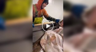 Морской черт укусил чудака