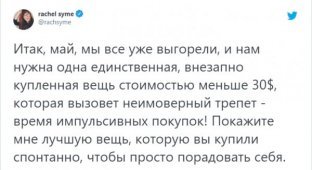 Пользователи похвастались странными и бесполезными покупками, о которых они не пожалели (17 фото)