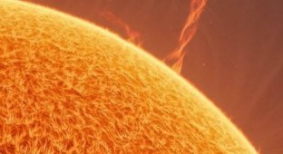 Astrophotographers took a photo of the Sun with a solar vortex (5 photos)