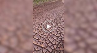 Красивое и удивительное (короткие видео). Выпуск 64