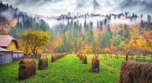 20 світлин, на яких осінь фантастично прекрасна (21 фото)
