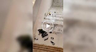 Бутылочный эксперимент не для слабонервных
