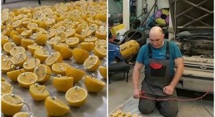 Умельцы из Новосибирска попытались завести авто от лимонов (4 фото + 1 видео)