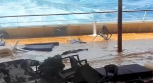 Cruise ship caught in a storm in Antarctica (2 photos + 2 videos)