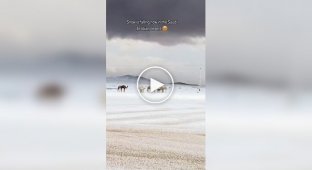 В пустыне Саудовской Аравии выпал снег