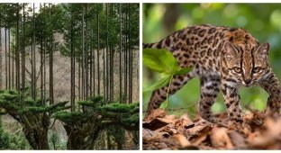 10 фактов, после которых вы посмотрите на мир другими глазами (11 фото)