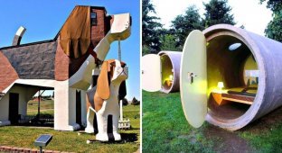 Aquarium on the contrary, a giant dog and hobbit houses: 10 most unusual hotels (17 photos)