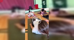 Йога з щенками: коли дзен отримують і люди, і собаки