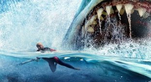 Несколько малоизвестных фактов о мегалодонах (13 фото)