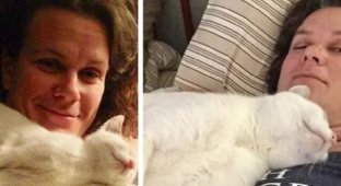 До и после: трогательные фото кошек, обретших дом (31 фото)