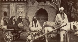 Удивительные жители неизвестного Египта 130 лет назад (13 фото)