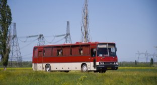 Ikarus 250 and 256 - buses of childhood (20 photos)