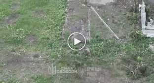 An occupier crawls away from a Ukrainian drone on all fours and dies after reaching shelter