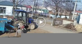 Кабан врізався в моторолер