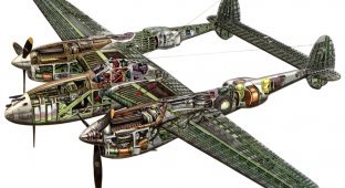 World War II planes in cross-section (42 photos)