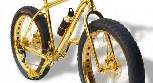 Велосипед за $1 000 000 (10 фото)
