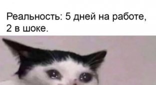 Лучшие шутки и мемы из Сети. Выпуск 693 (171 картинок)