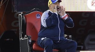 Диего Марадона показал, кто на стадионе "король", но в итоге всех рассмешил (2 фото)