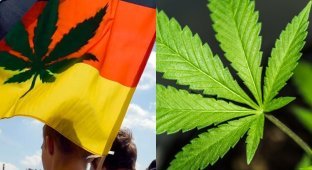 Cannabis will be legalized in Germany from April 1 (3 photos)