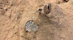 Double hoard with Viking treasures discovered in Denmark (8 photos)