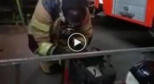 Тренировка пожарных