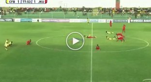 Bees laid football players and referees on the lawn in Tanzania