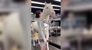 Реалистичная роболошадь