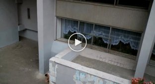 Parkour 2013 - The Only Way (HD)