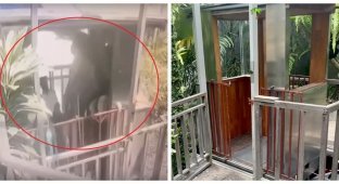 Скляний ліфт зі співробітниками готелю на Балі впав у ущелину з висоти 90 метрів (7 фото + 1 відео)