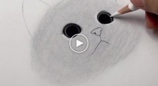 Необычный способ нарисовать кота