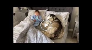 Four-legged nanny puts baby to bed