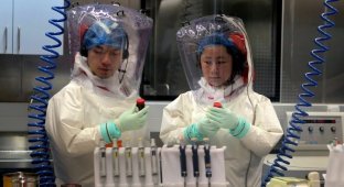 Китайские учёные обнаружили 8 новых опасных для человечества вирусов (3 фото)