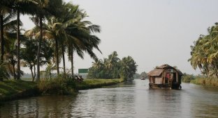 Плавучие дома (31 фото)