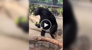 Коли набрав занадто продуктів у магазині