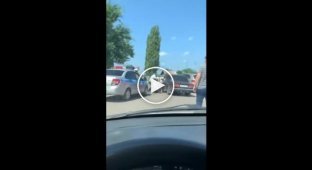 В Борисоглебске пьяный водитель и пассажирка напали на сотрудников ГИБДД