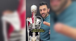 Как убрать боль в лопатках и избавиться от головной боли