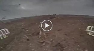 Ukrainian kamikaze drones attack Russian infantry in the Zaporozhye direction