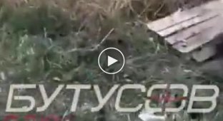 Подборка видео с пленными и убитыми в Украине. Выпуск 19
