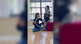 Хорошая дрессировка получилась у девушки