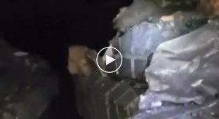 Российский военный показывает последствия ракетного удара по их ангару с бронетехникой на Восточном направлении