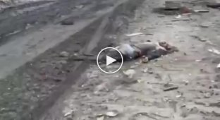 Подборка видео с пленными и убитыми в Украине. Выпуск 33