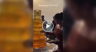 A jelly cake for adults