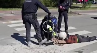 У Німеччині екоактивіст приклеїв себе до дороги біля цементного заводу