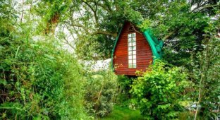 Чудный домик на дереве, пользующийся невероятной популярностью среди пользователей Airbnb (8 фото)
