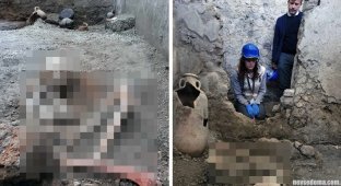 Аналіз скелетів із Помпей показав, що не всі жертви померли від виверження вулкана (8 фото)