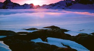 Арктика глазами фотографов (8 фото)