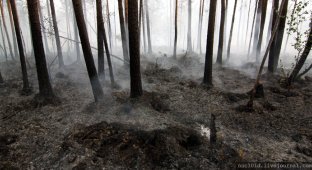 О лесных пожарах под Екатеринбургом (36 фото)
